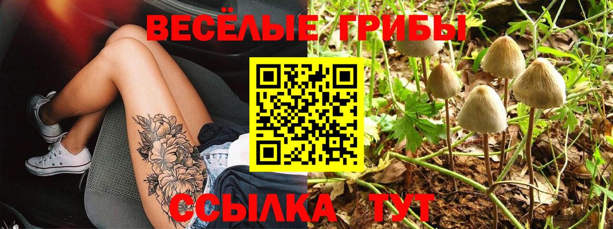 Тимашёвск  Псилоцибиновые грибы Cubensis  Вход с VPN 