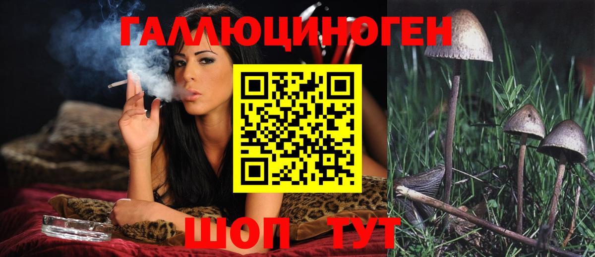 Псилоцибиновые грибы GOLDEN TEACHER Тимашёвск